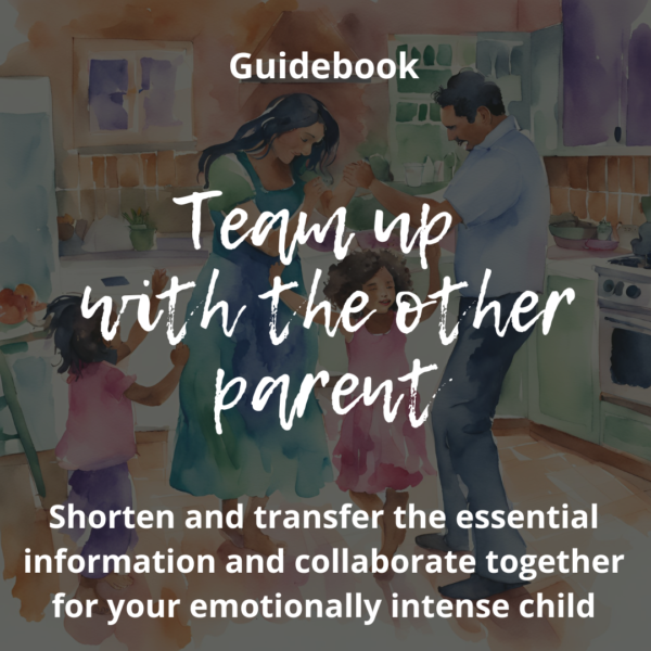 Team up with the Other Parent